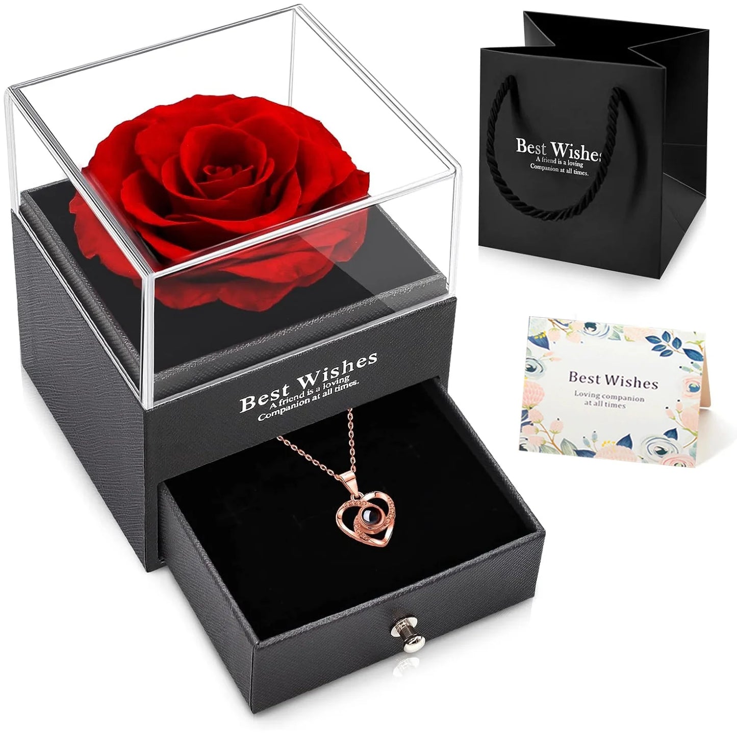 Forever Blooming Love - Preserved Rose & Projection Heart Necklace Gift Set